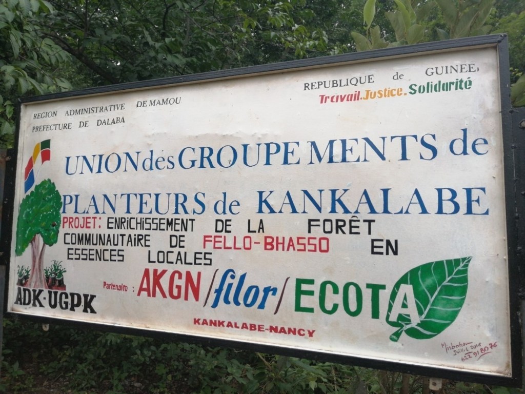 Union des Groupements de Planteurs de Kankalabé
Partenaires : AKGN/Filor/ECOTA