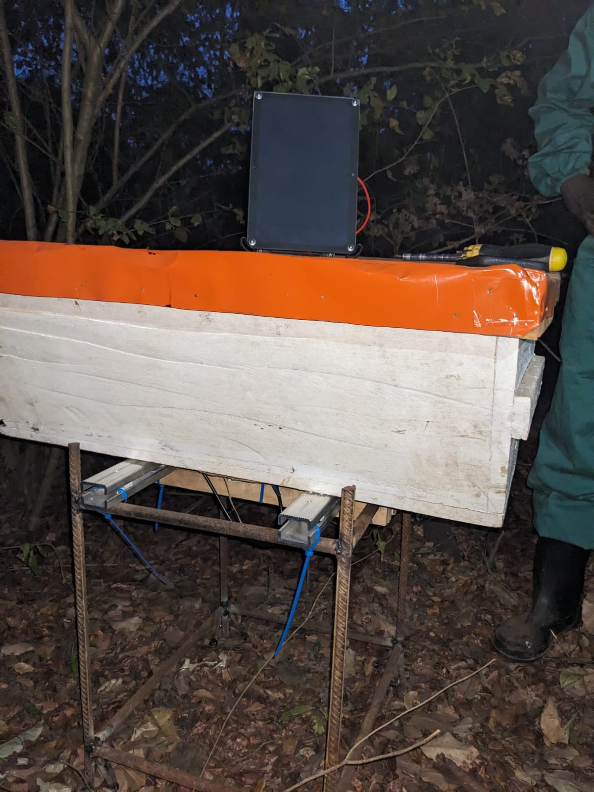 Ruche posée sur un système de pesée